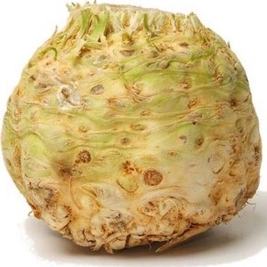 CELERI RAVE BIO
