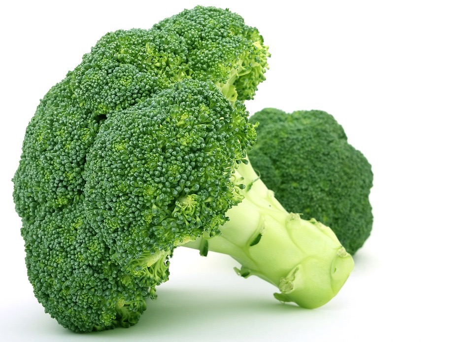 CHOU BROCOLI BIO