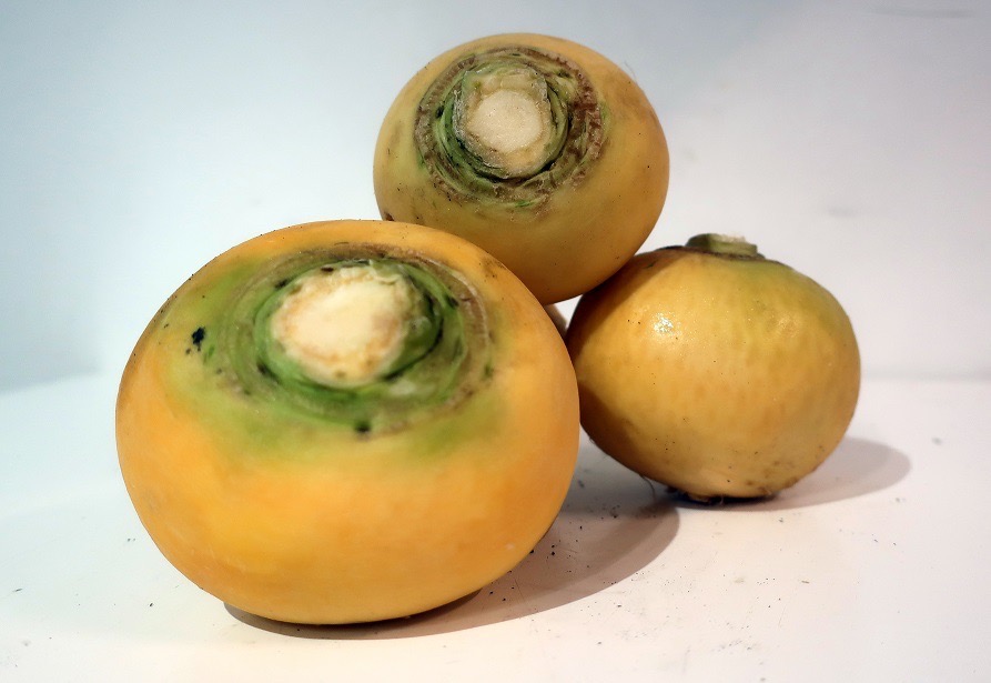 NAVETS BIO BOULE D'OR