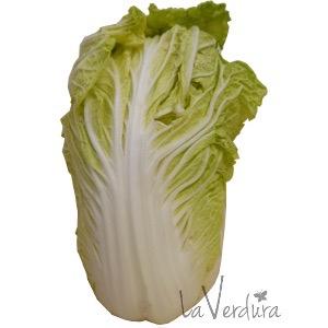 CHOU CHINOIS BIO