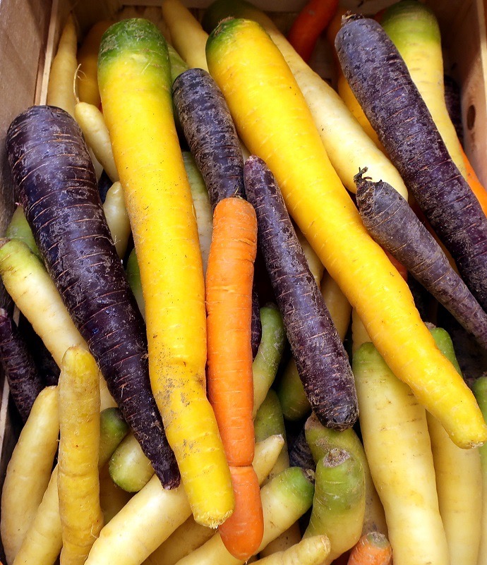 CAROTTE BIO RAINBOW