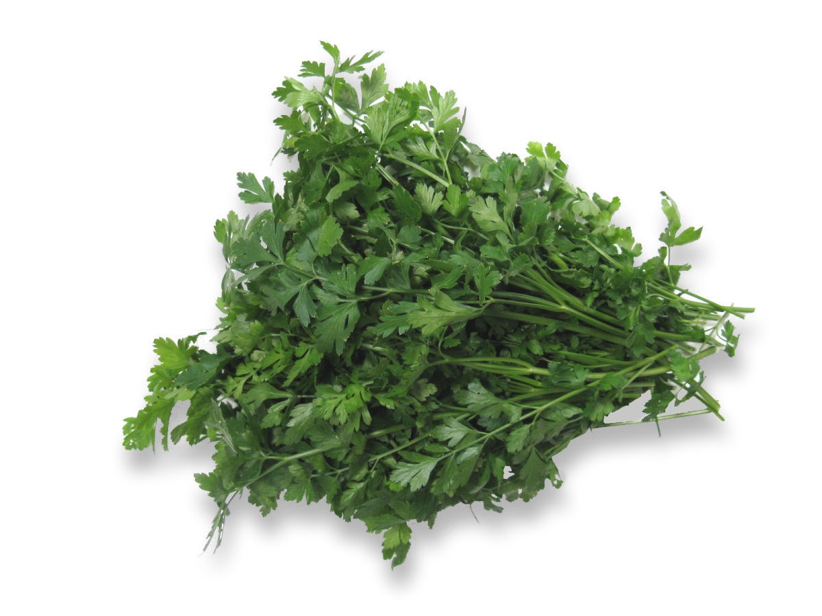 PERSIL PLAT BIO