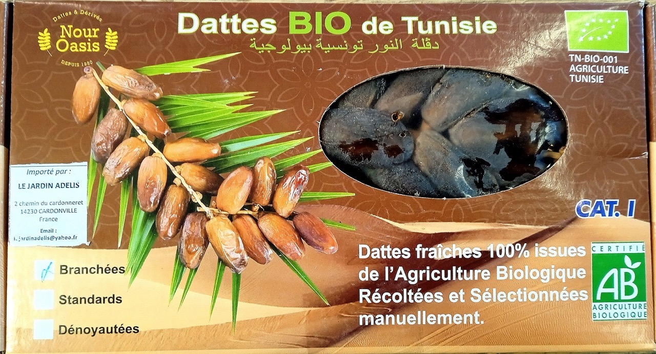 DATTES BIO DE TUNISIE 1KG