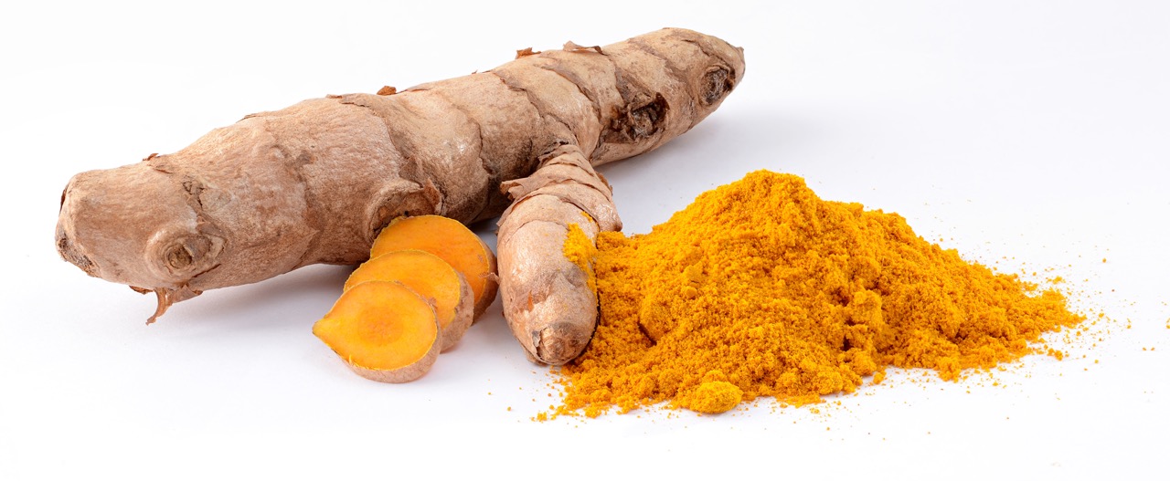 CURCUMA BIO