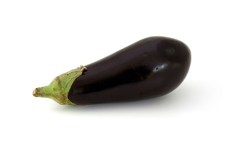 AUBERGINE BIO