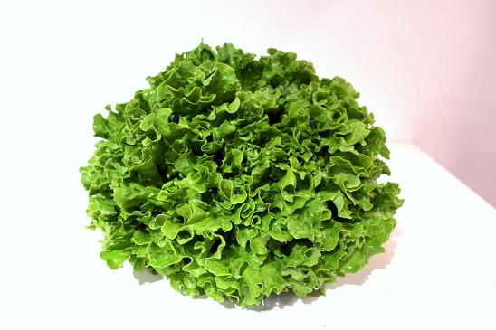 SALADE BIO BATAVIA 