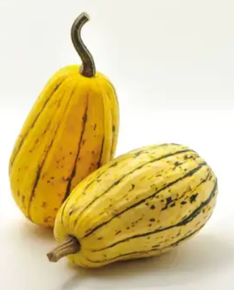 COURGE BIO SWEET POTATO