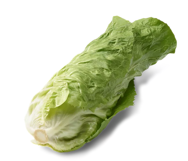 SALADE BIO PAIN DE SUCRE