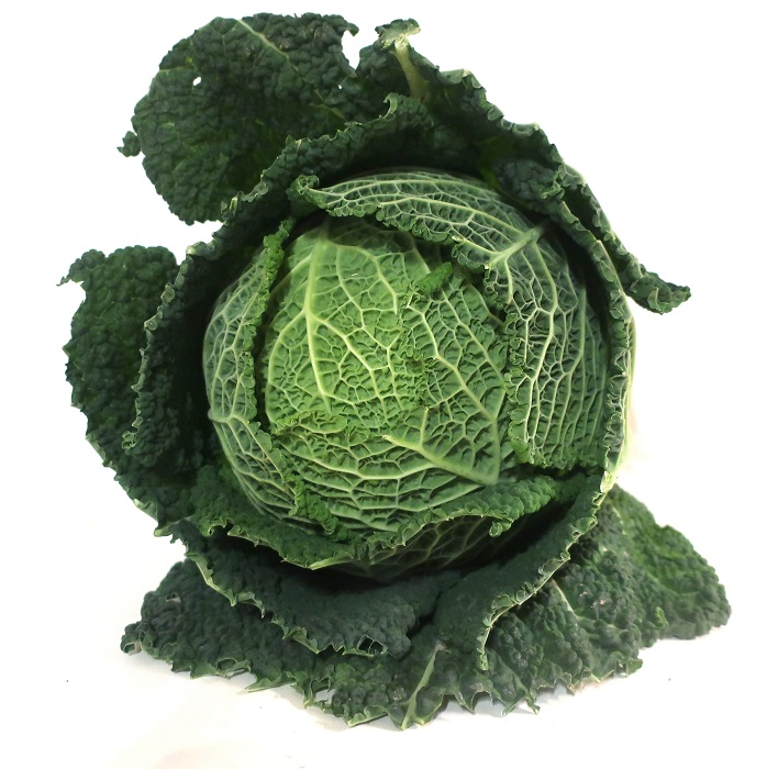 CHOU BIO VERT FRISÉ