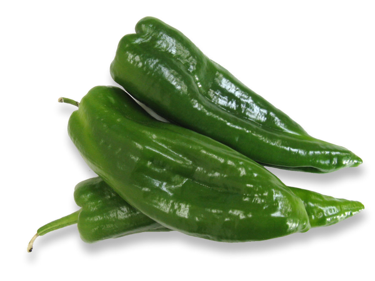 POIVRON BIO CORNU VERT