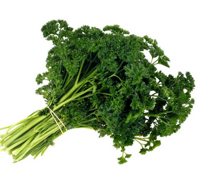 PERSIL FRISÉ BIO BOTTE