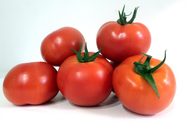 TOMATE BIO RONDE