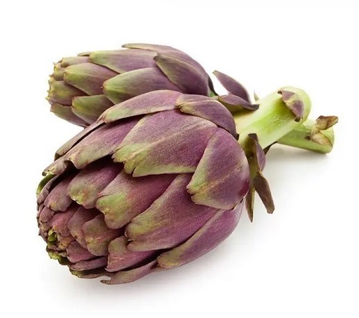 ARTICHAUT BIO VIOLET