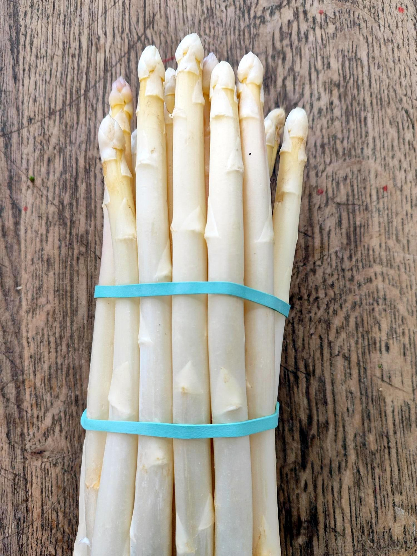 ASPERGE BIO BLANCHE FINE 500G