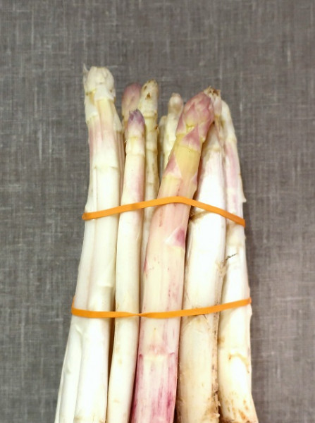 ASPERGE BIO BLANCHE CAT II BOTTE 