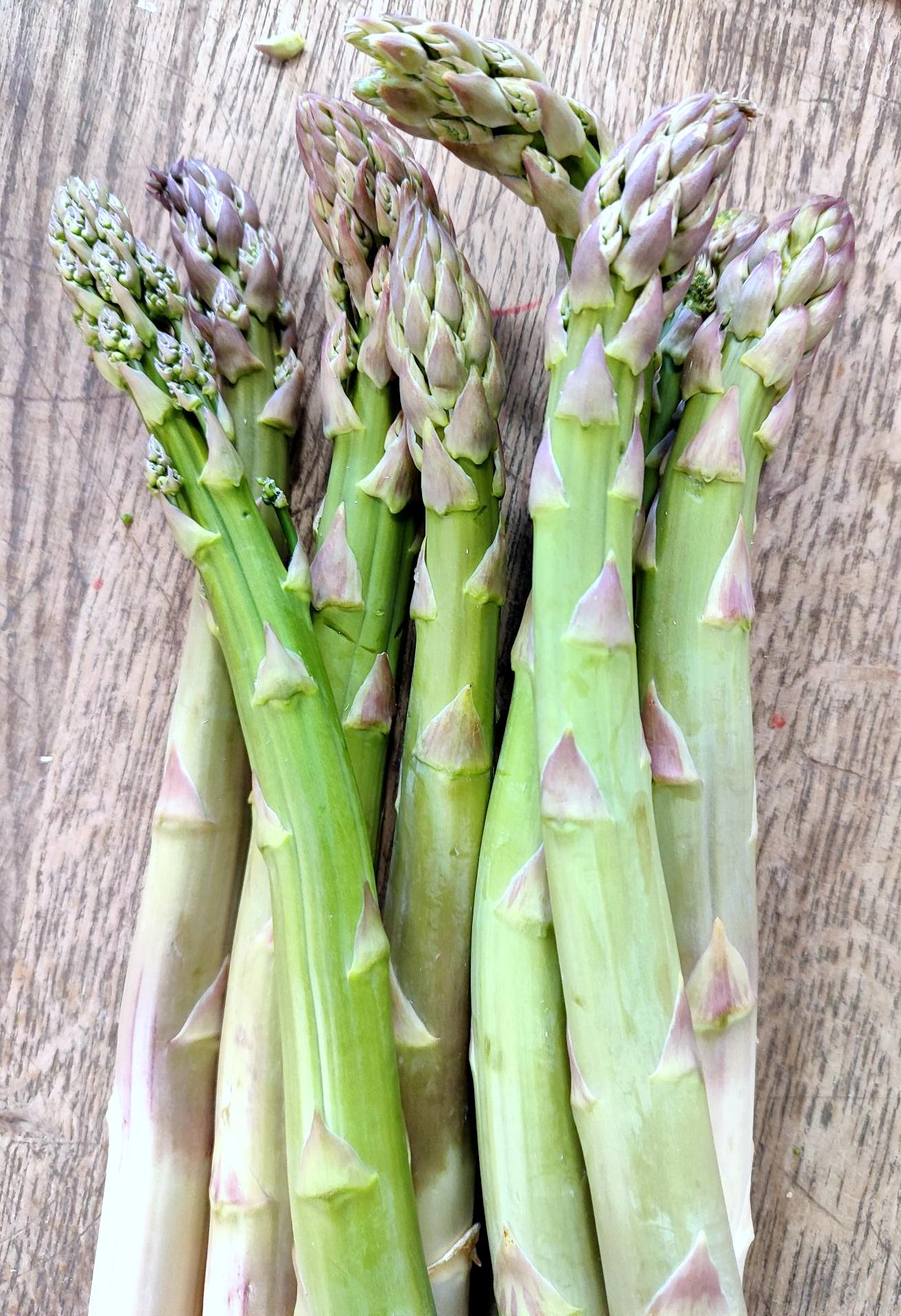 ASPERGES BIO VERTE CAT II VRAC