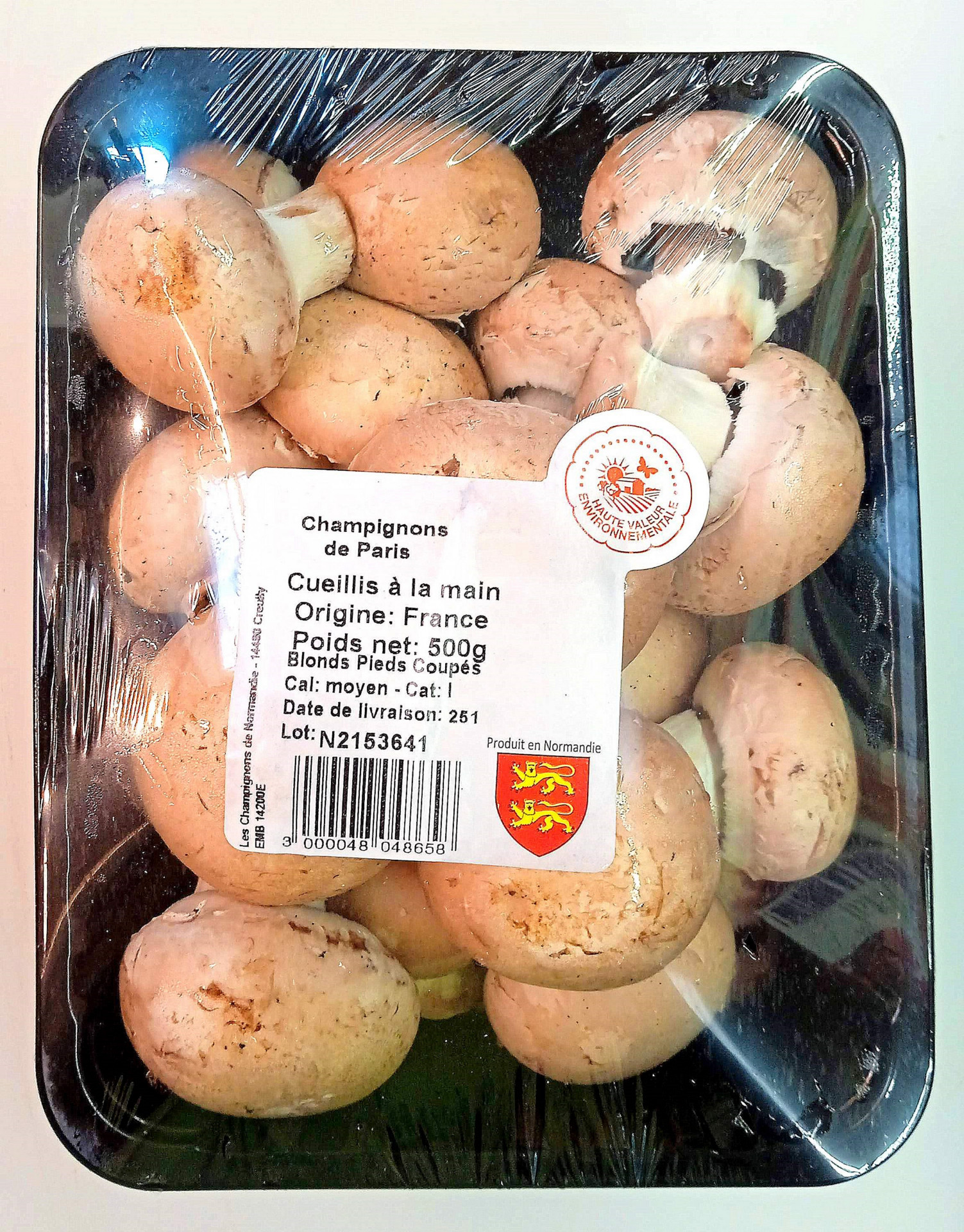 CHAMPIGNONS BLANC 