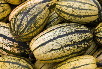 LEGUMES