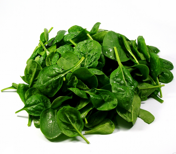 SALADE BIO JP EPINARD 150G