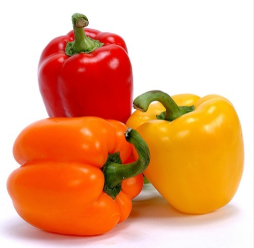 POIVRON BIO COULEUR