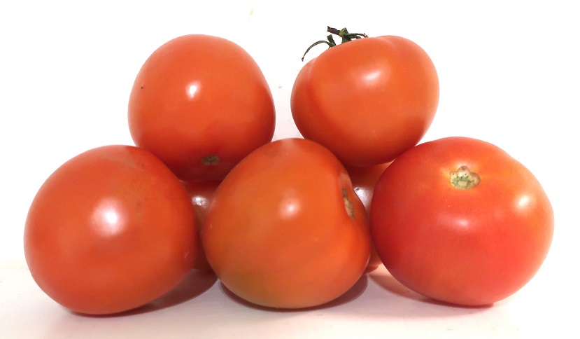 TOMATE BIO RONDE