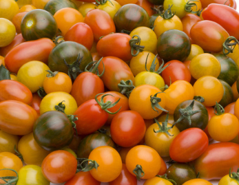 TOMATE CERISE MÉLI MÉLO 250G
