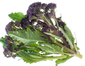 CHOU BIO BROCOLI À JET