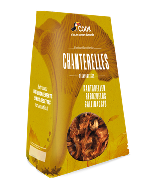 CHAMPIGNON CHANTERELLE DÉSHYDRATÉ 