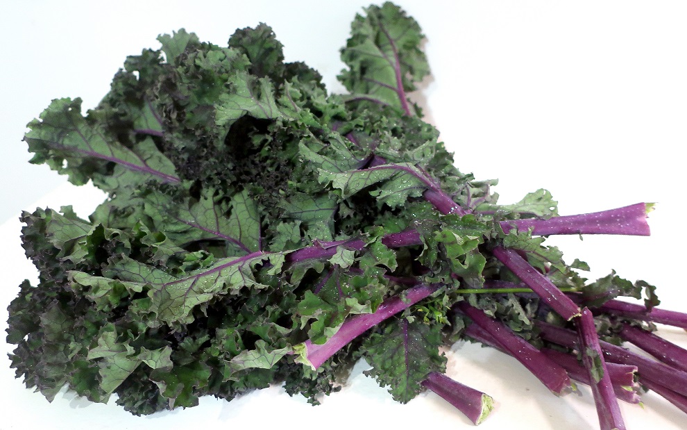 CHOU BIO KALE VERT