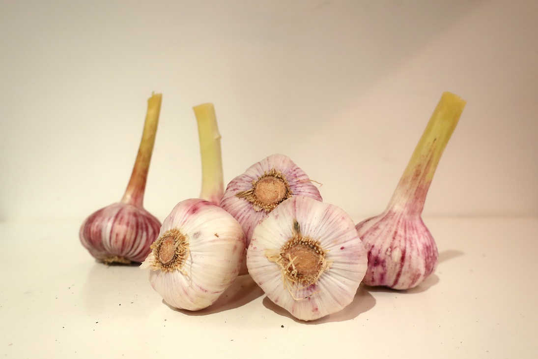 AIL FRAIS  VIOLET