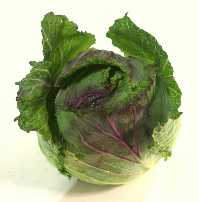 CHOU BIO VERT DE PONTOISE 