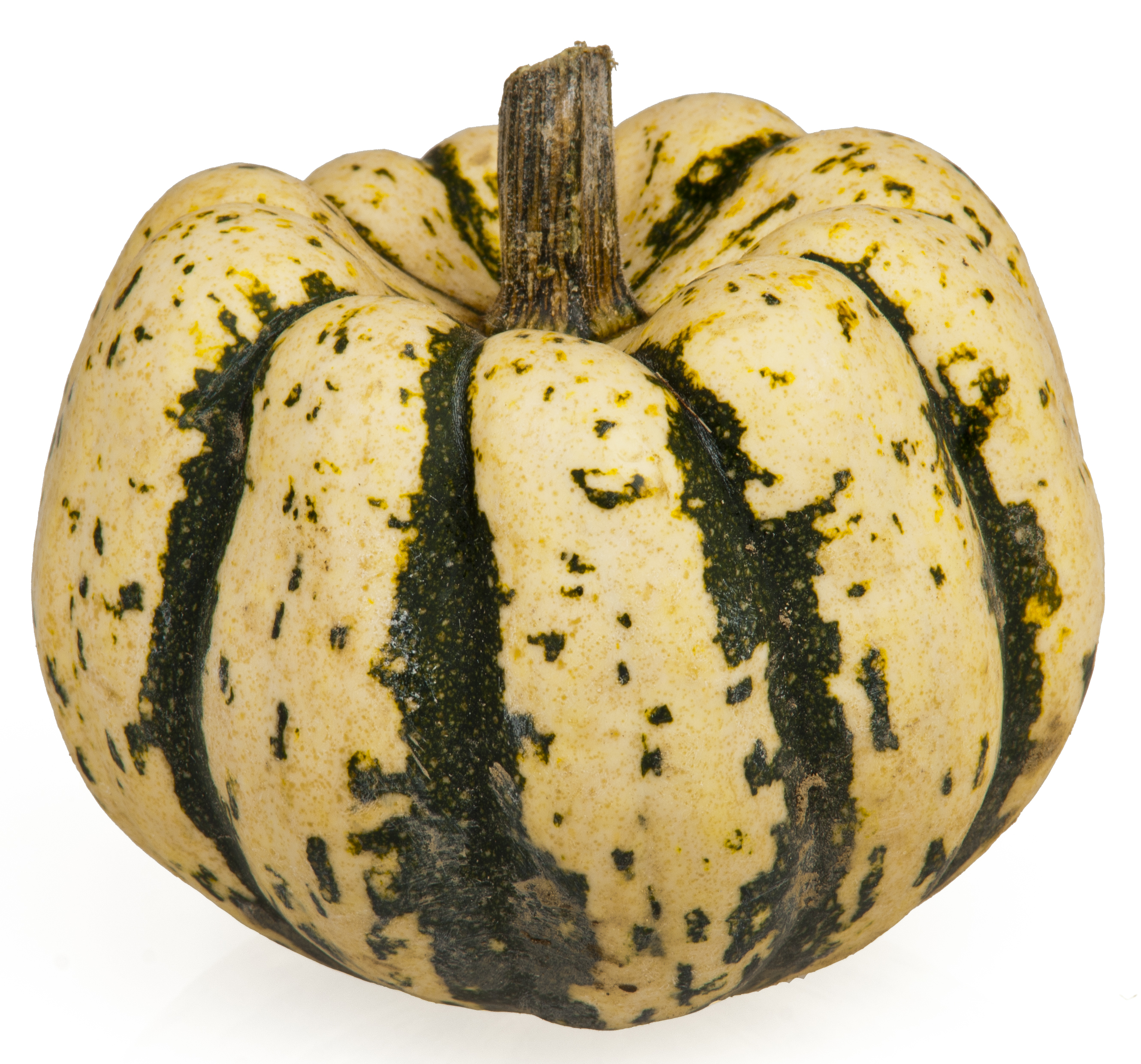 COURGE BIO PATIDOU 