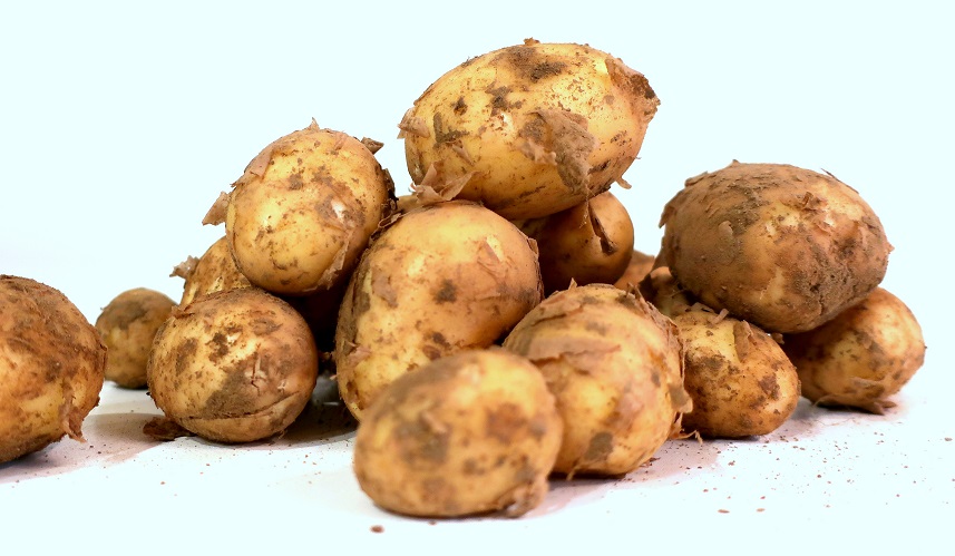 PDT BIO NOUVELLE PRIMEUR