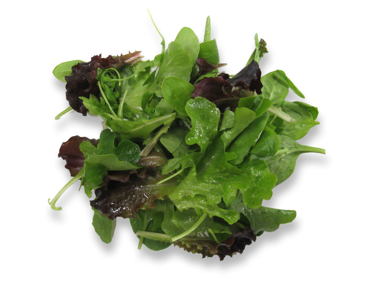 SALADE BIO JP MESCLUN 