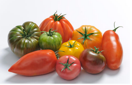 TOMATE ANCIENNE MIXTE