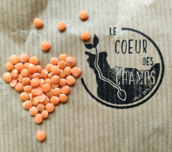 Logo Le cœur des champs